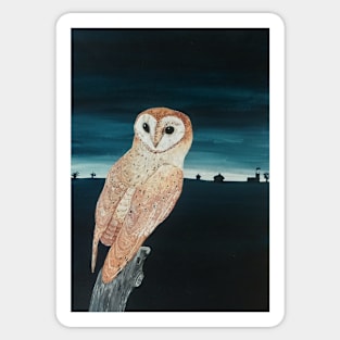 Barn Owl design - owl art - bird art - owls Sticker